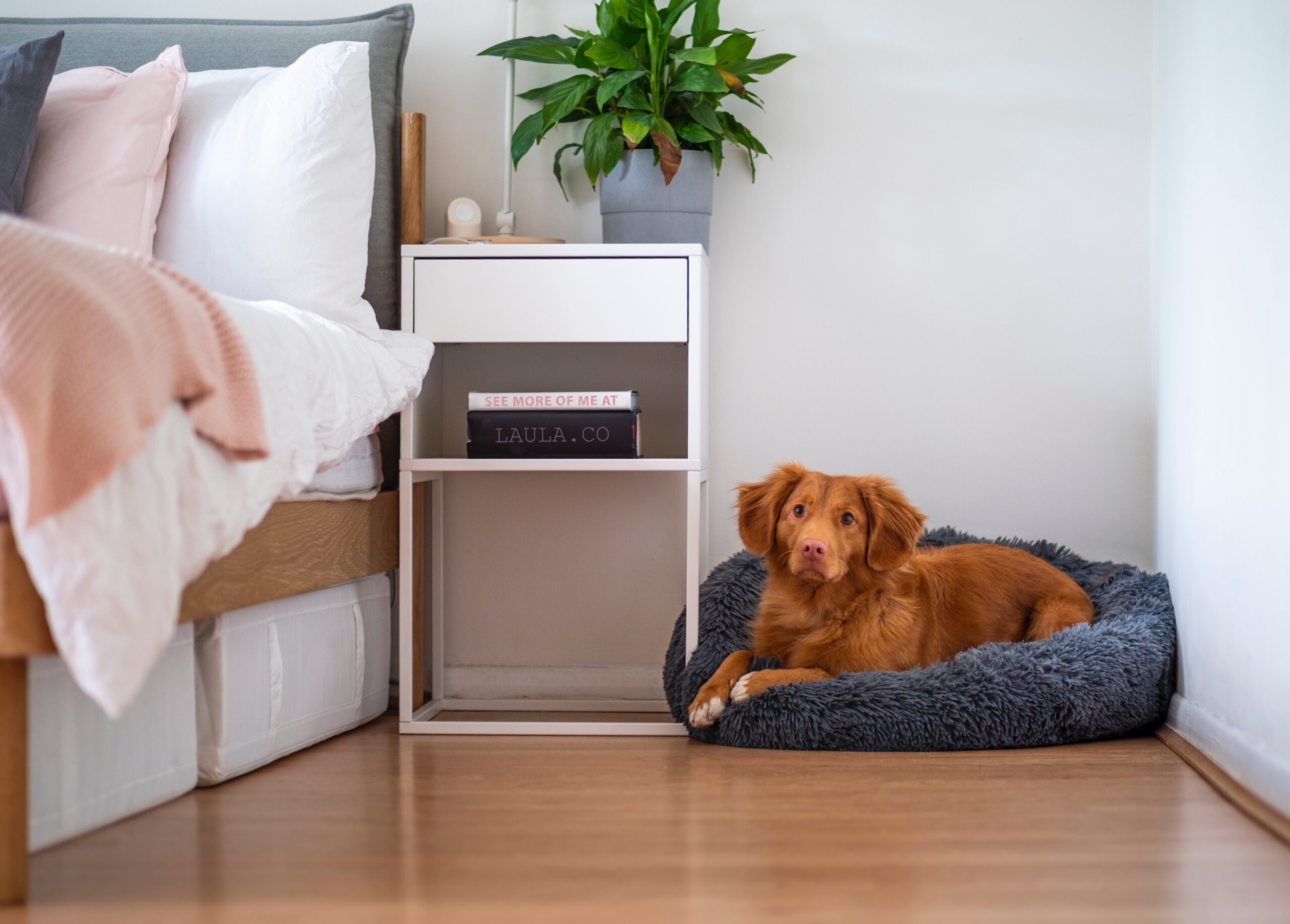 The Best Way to Clean Laminate Flooring